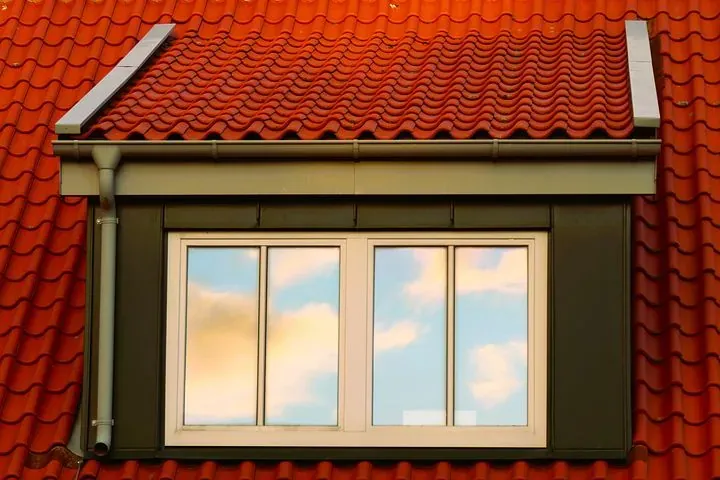 skylight window.webp