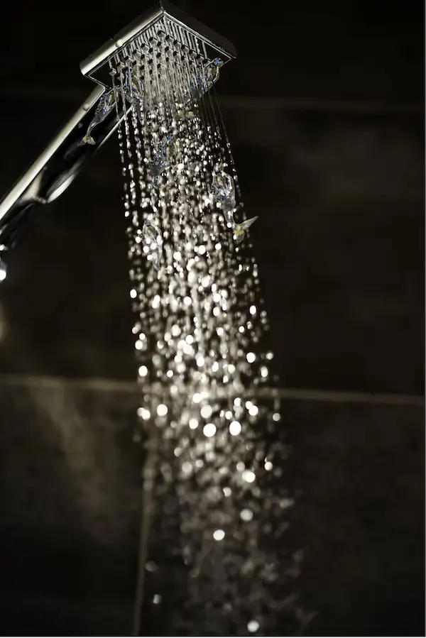 stainless steel showerhead.webp